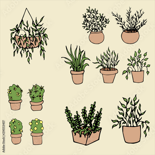 Set of decorative house plants