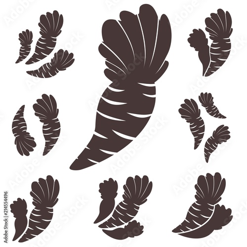 The black silhouette and outline of carrots on the white background, different compositions of two and three elements, isolated vector food