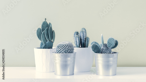 Cactus Fashion Set Design. Minimal Still Life. Trendy minimalism pop art style and colors cactus background. Contemporary Art.