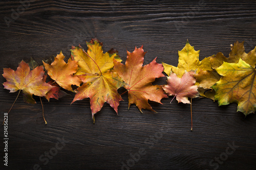autumn leaf on wood background (top view) orange leaf on old grunge wood deck, copy place for inscription, tablet for text