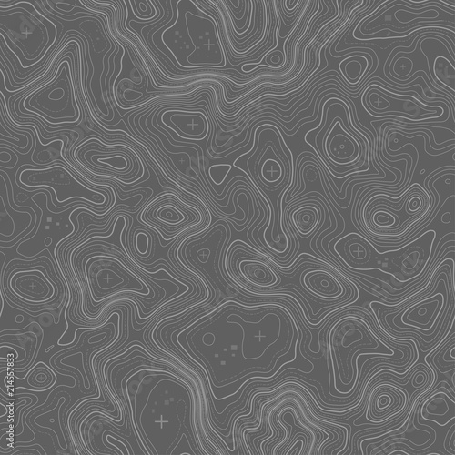 Seamless topographic map contour background. Topo map with elevation. Contour map vector. Geographic World Topography seamless texture vector illustration .