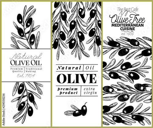 Olive tree banner set. Vector hand drawn vintage illustration. Design for olive oil, olive packaging, natural cosmetics, health care products. Retro style image.