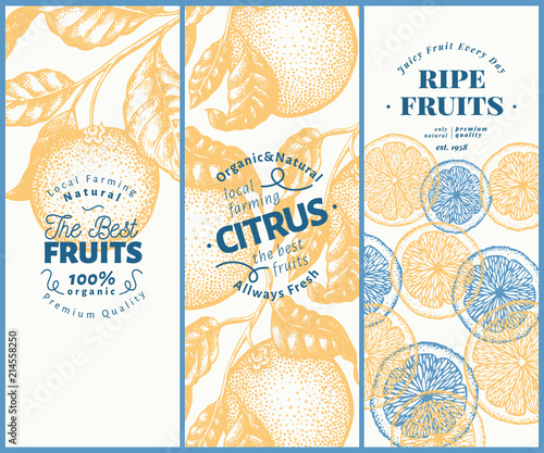 Orange fruit banner set. Hand drawn vector fruit illustration. Engraved style vintage citrus background.