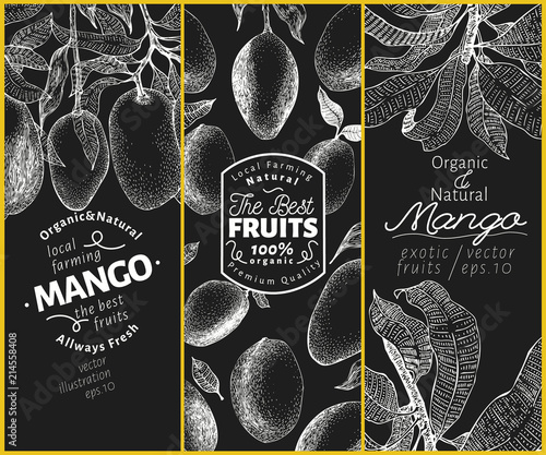 Mango fruit banner set. Hand drawn vector fruit illustration on chalk board. Engraved style vintage exotic background.
