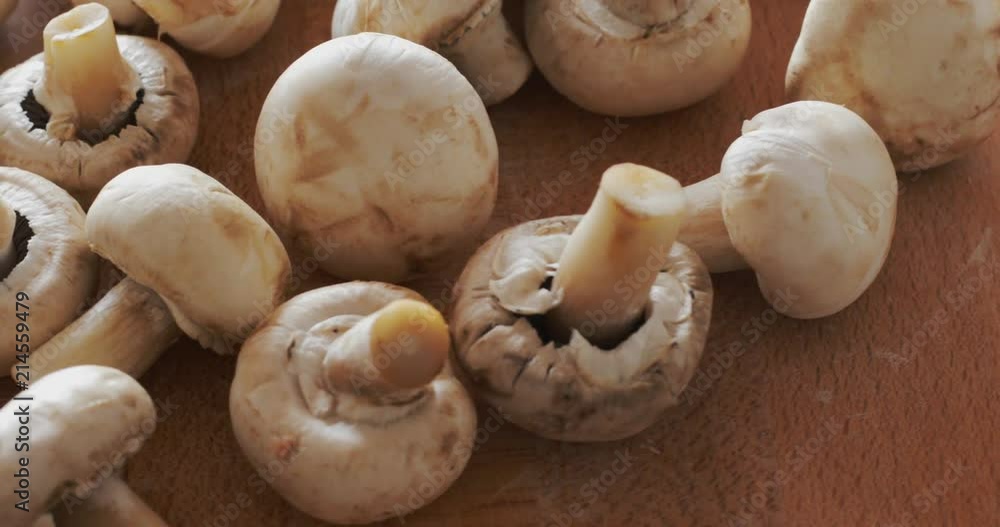 Fresh raw champignon mushrooms at rotating stand, close-up, no people Fresh raw champignon mushrooms at rotating stand, close-up, no people
