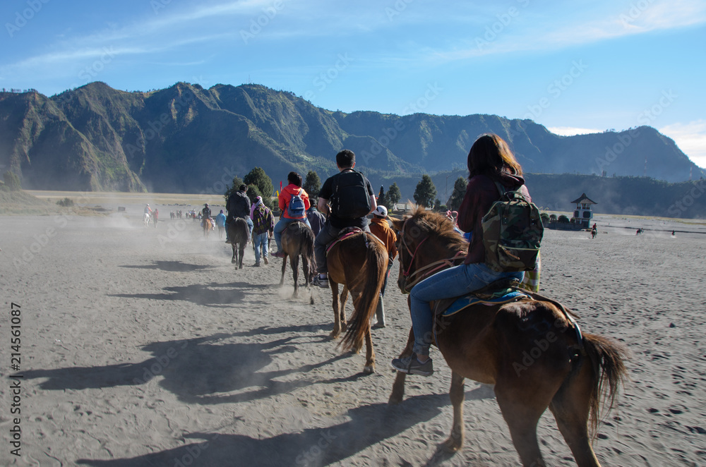 Horse for tourist rent at Mount Bromo volcanoes in Bromo Tengger Semeru National Park in East Java, Indonesia.