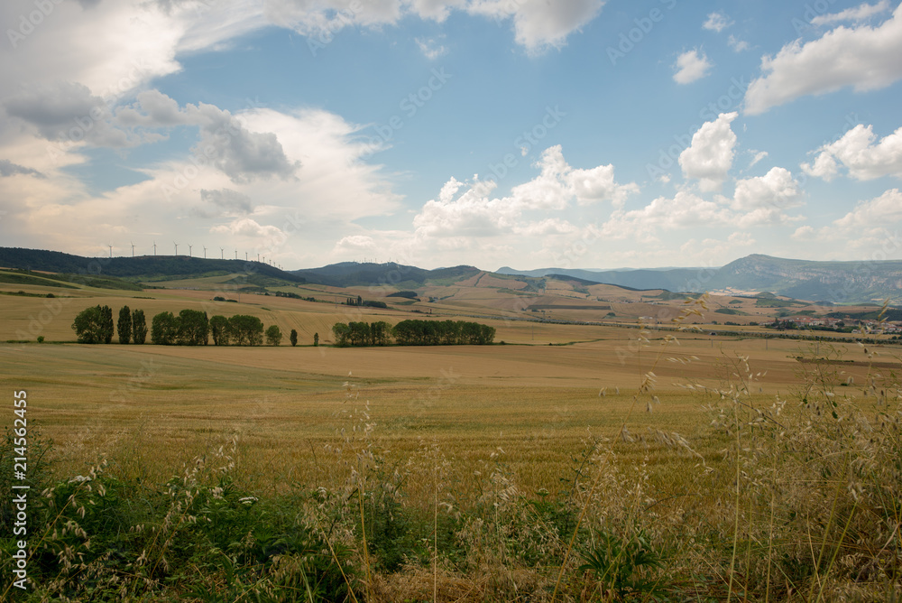 Camino Santiago at the height of forgiveness