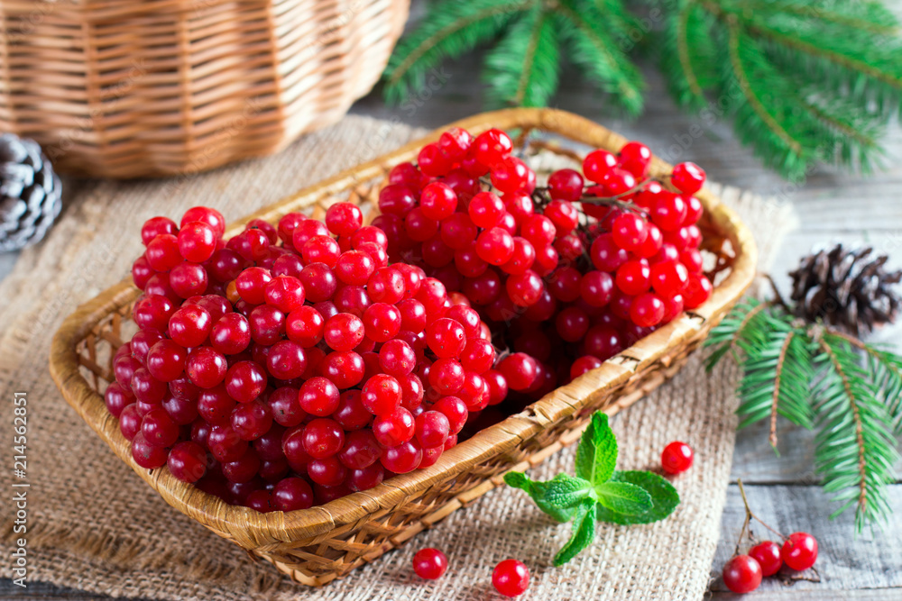 Ripe red viburnum berries in a wooden bowl Ripe red viburnum berries in a wooden bowl