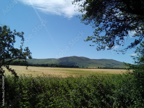 Konstfotografi Cheviots