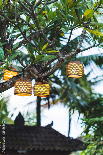 Many beautiful hahdmade wicker lamps hanging outside in garden on tree photo