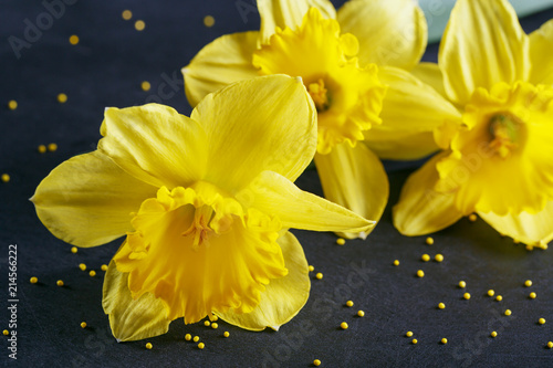 Fototapeta Naklejka Na Ścianę i Meble -  Three yellow narcissus on dark background.