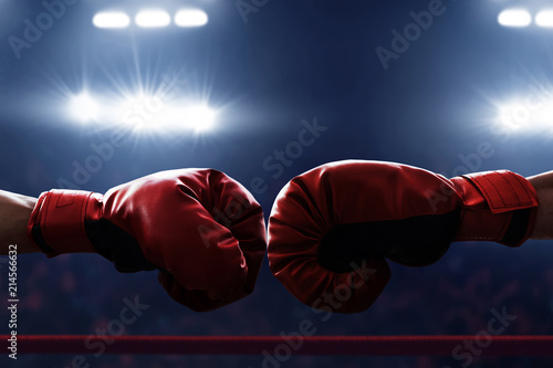 Two boxing gloves © fotokitas