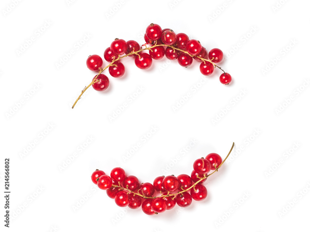 Creative layout - two branches of red currant. Food and diet concept. Top view of ripe red currant with copy space. Isolated on white with clipping path. Creative layout - two branches of red currant. Food and diet concept. Top view of ripe red currant with copy space. Isolated on white with clipping path.