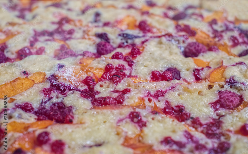 Fresh baking cake with fresh cranberries, raspberry, apples and apricots on top Fresh baking cake with fresh cranberries, raspberry, apples and apricots on top