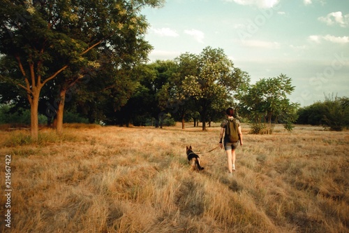 Fototapeta Naklejka Na Ścianę i Meble -  Best friends. A girl walks in a field with a dog. A woman and a German shepherd.