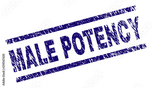 MALE POTENCY stamp seal watermark with grunge style. Blue vector rubber print of MALE POTENCY text with unclean texture. Text caption is placed between parallel lines.
