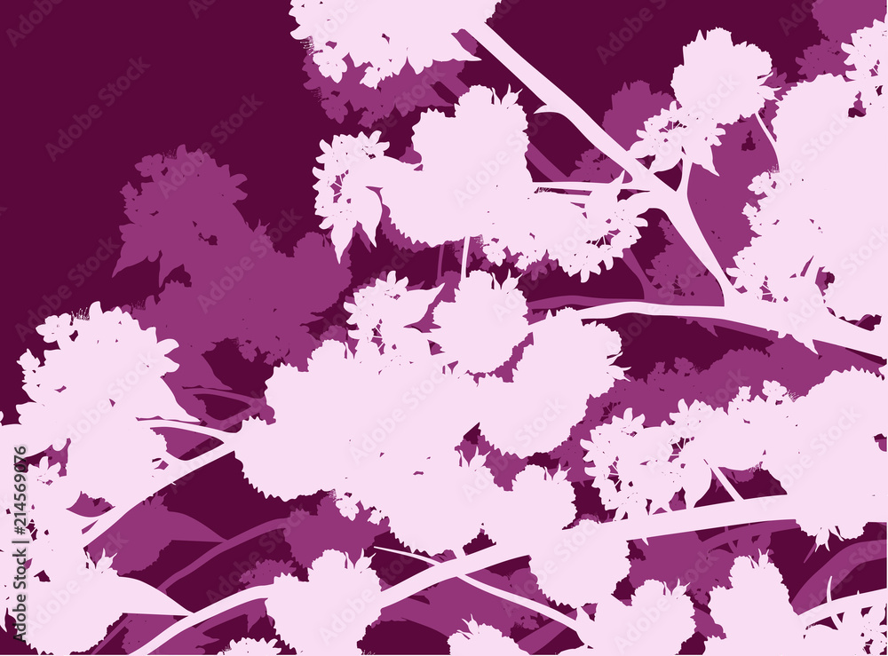 Obraz premium purple spring background from blossoming cherry tree branches