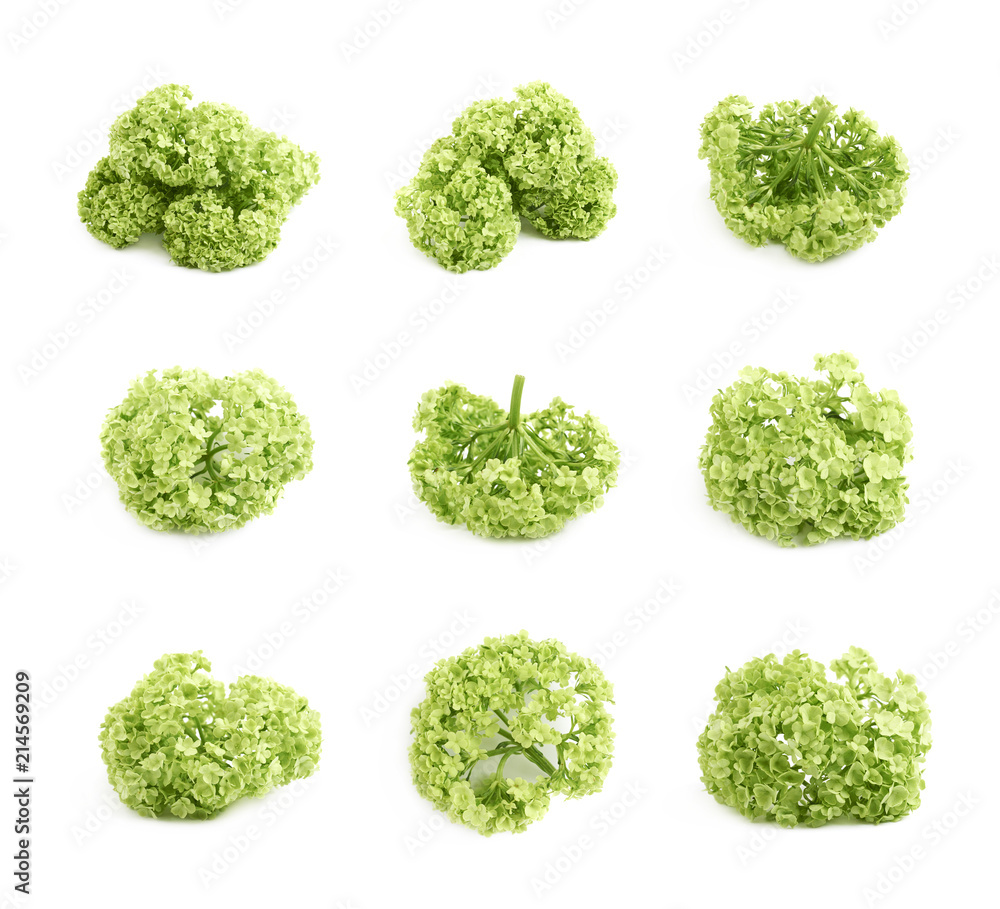 Green decorational flower element Green decorational flower element
