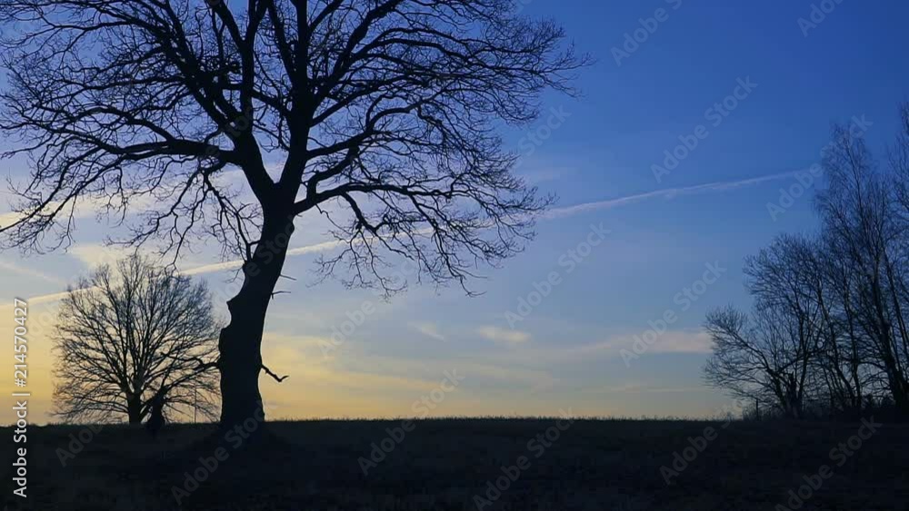 Grim Reaper sunset silhouette. concept of death Grim Reaper sunset silhouette. concept of death