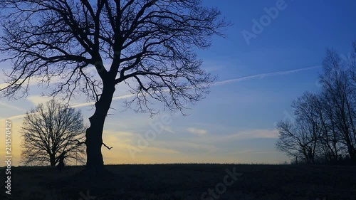 Wallpaper Mural Grim Reaper sunset silhouette. concept of death Torontodigital.ca