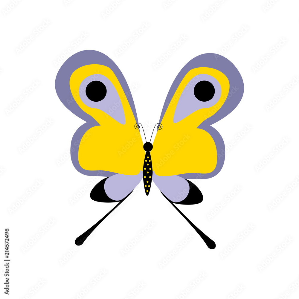Obraz premium Butterfly insect illustration