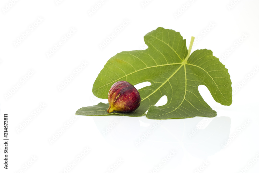 Obraz premium Martineca Rimada Fig on leaf