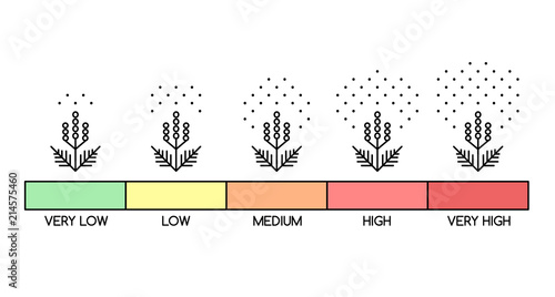 Ragweed pollen concentration infographics, allergy cause, dangerous weed