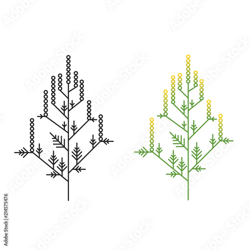 Ragweed minimalistic line art painted in two styles