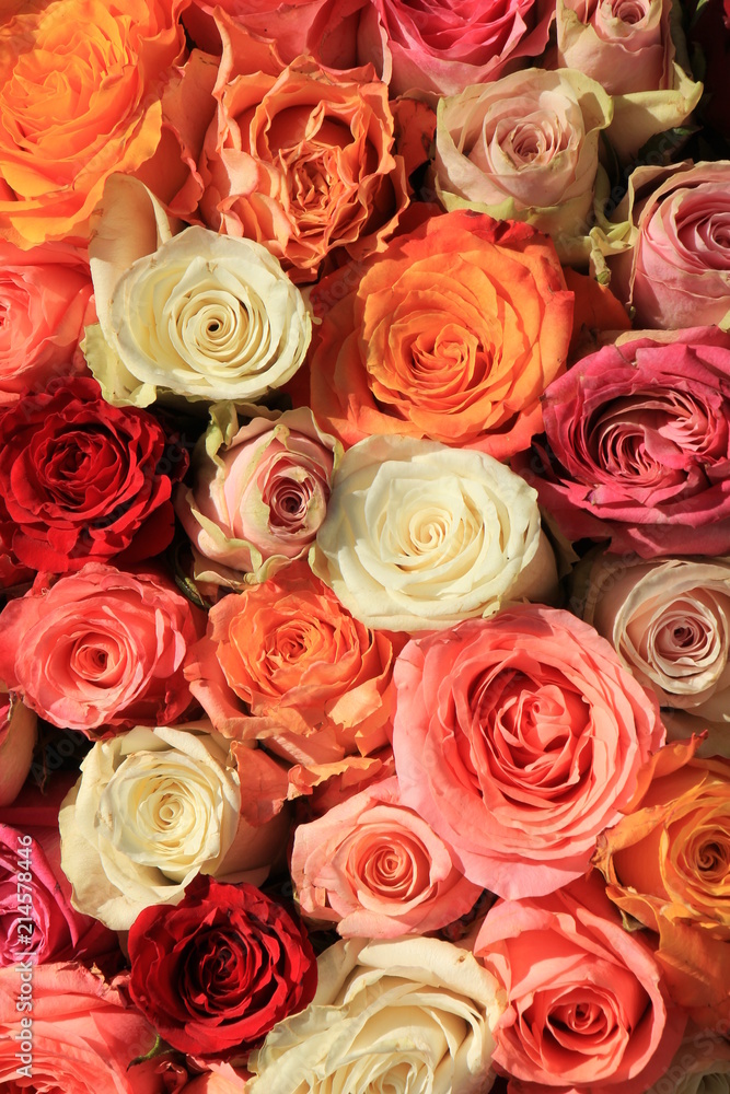 Obraz premium Mixed pink and orange bridal bouquet