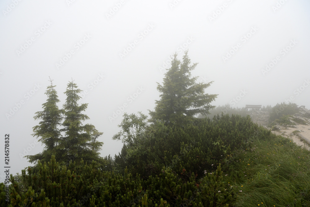 Mountain landscape in the Alps in the fog