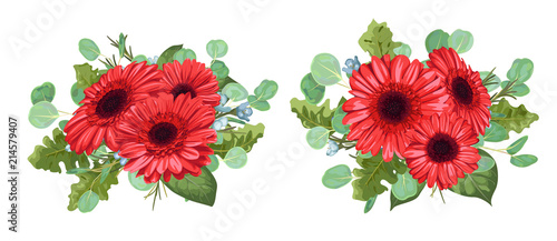 Set a bouquet of red gerberas, eucalyptus and wax flowers isolated on white background