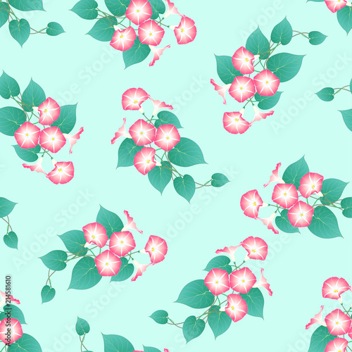 Pink Morning Glory on Green...