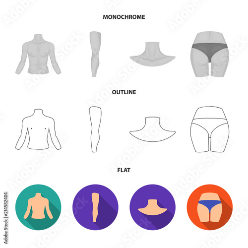 Torso, leg, neck and buttocks. Body parts set collection icons in flat,outline,monochrome style vector symbol stock illustration web.