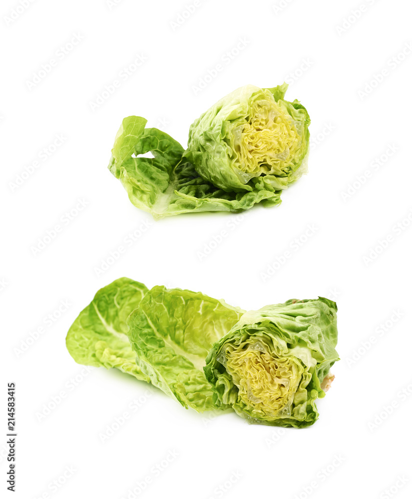 Fototapeta premium Little gem salat isolated