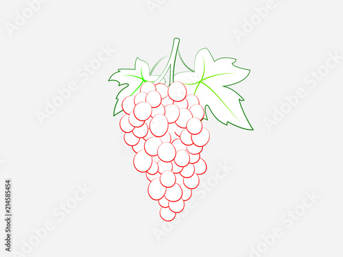 Paper grapevine drawing on white page vector illustration