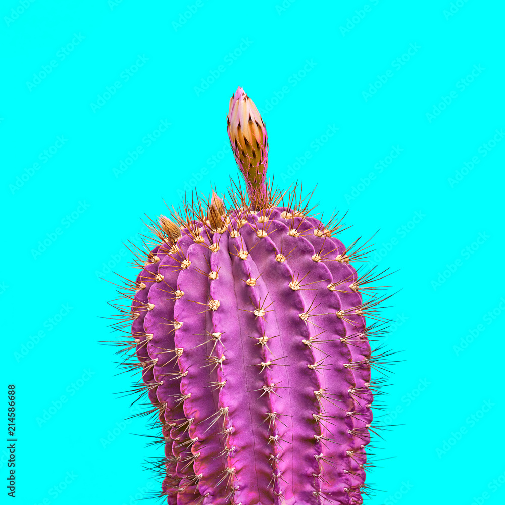 Naklejka premium Cactus. Minimal Fashion. Creative Design. Art