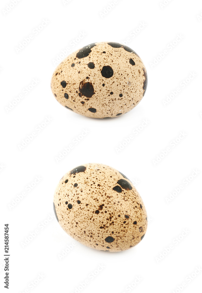 Quail egg composition isolated Quail egg composition isolated