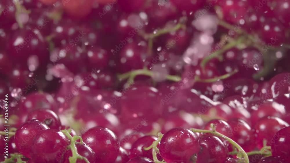 Red currant falling in juice with splash between currants. Slow motion. Red currant falling in juice with splash between currants. Slow motion.