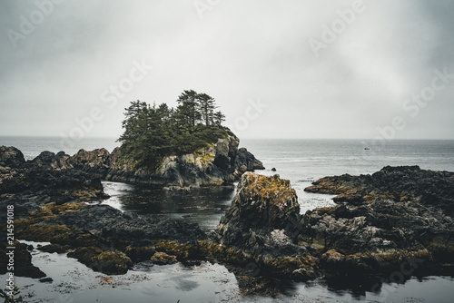 West coast Vancouver Island near Ucluelet British Columbia Canada on the Wild Pacific Trail photo