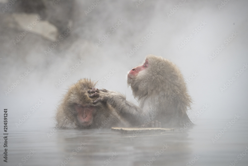 Naklejka premium 湯船の中で