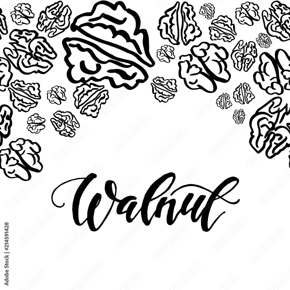 Sketch walnut pattern on white background Sketch walnut pattern on white background