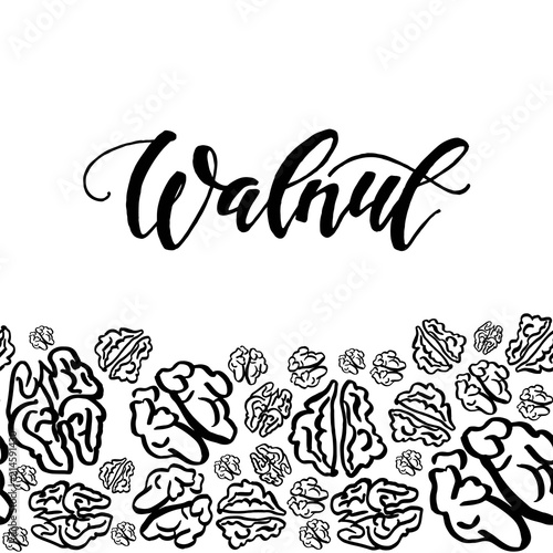 Sketch walnut pattern on white background © Gulnara