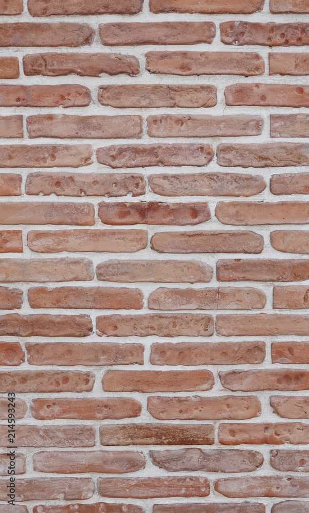 Fototapeta premium Wall facade bricks new exterior background 