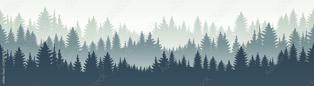 Fototapeta premium Bezszwowy lasowy krajobraz. Ilustracji wektorowych. Płatowaty drzewa tło. Koncepcja odkryty i piesze wycieczki.