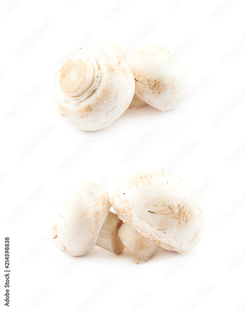 Fototapeta premium Raw champignon composition