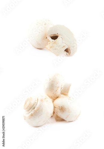 Raw champignon composition