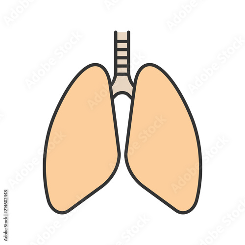 Human lungs color icon
