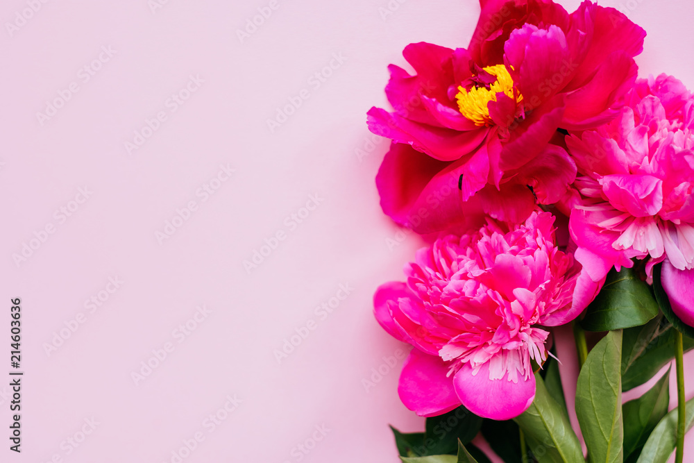 Beautiful magenta peony flower bouquet on the pink background. Closeup, flatlay style.