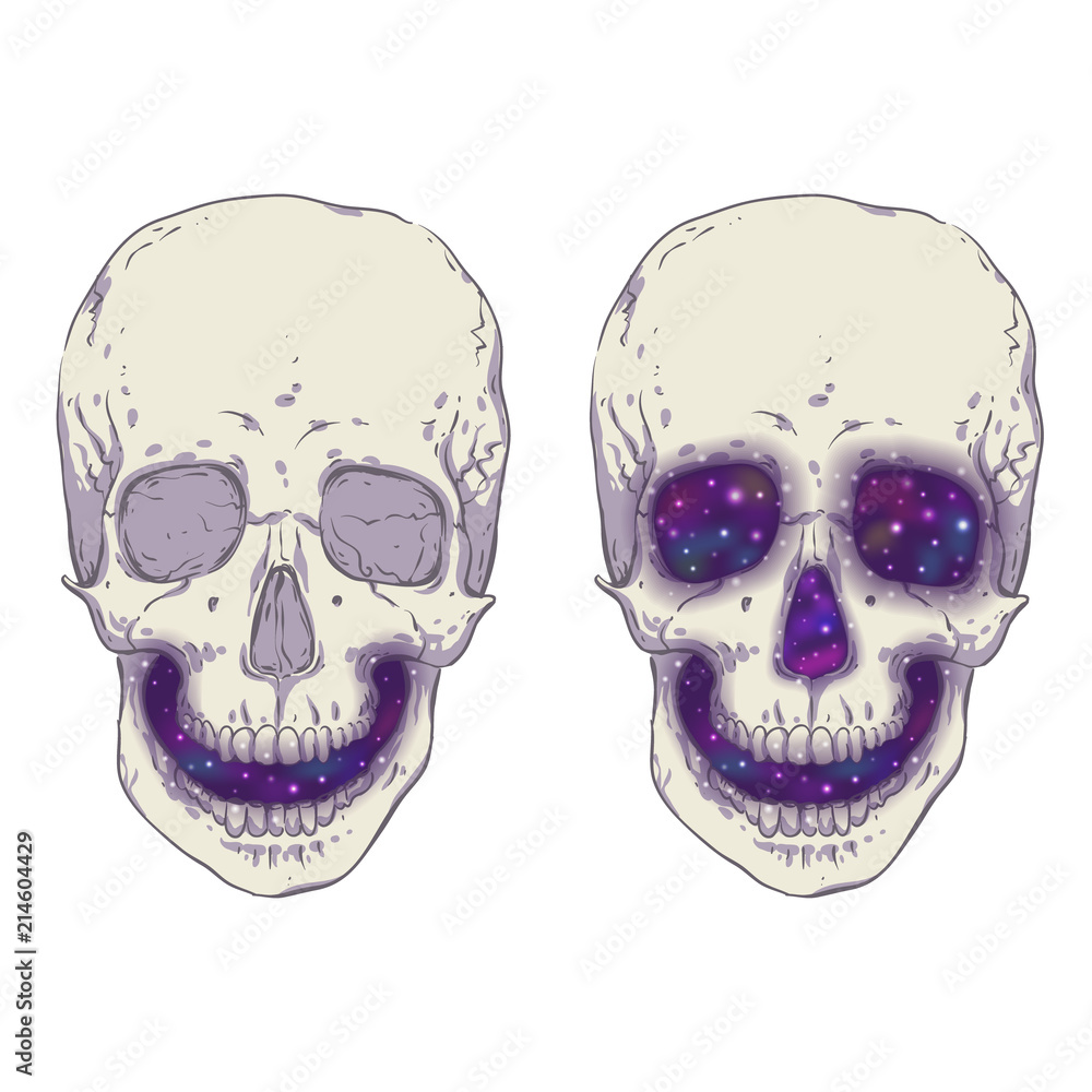 Fototapeta premium Czaszka. Przestrzeń wewnątrz