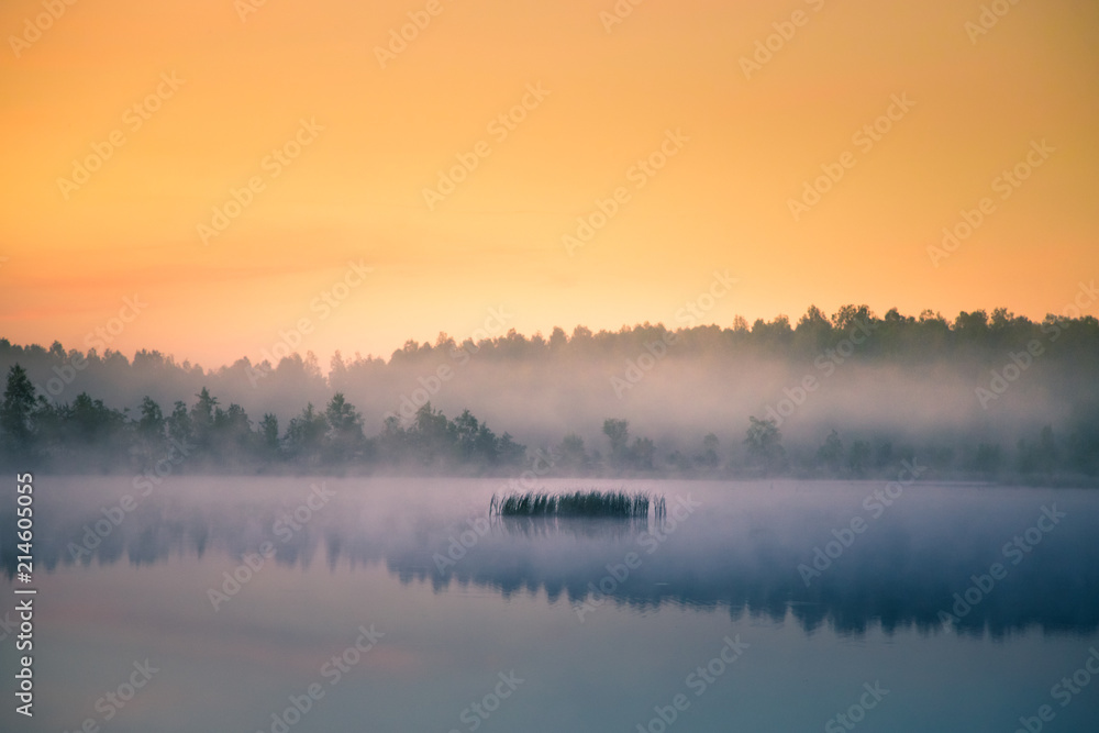 A beautiful, colorful landscape of a misty swamp during the sunrise. Atmospheric, tranquil wetland scenery with sun in Latvia, Northern Europe.